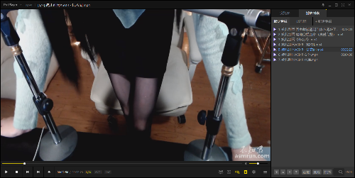 婉儿别闹11个[11v 2.09g]