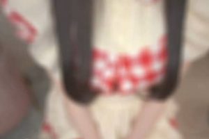 幽灵妹2023.03.21NICO会员限定内容