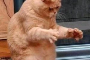 【日南图集】2021-01-31/大大大的美图13张